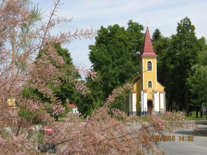 IMG_0356